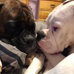 Meet your Posher, Paula